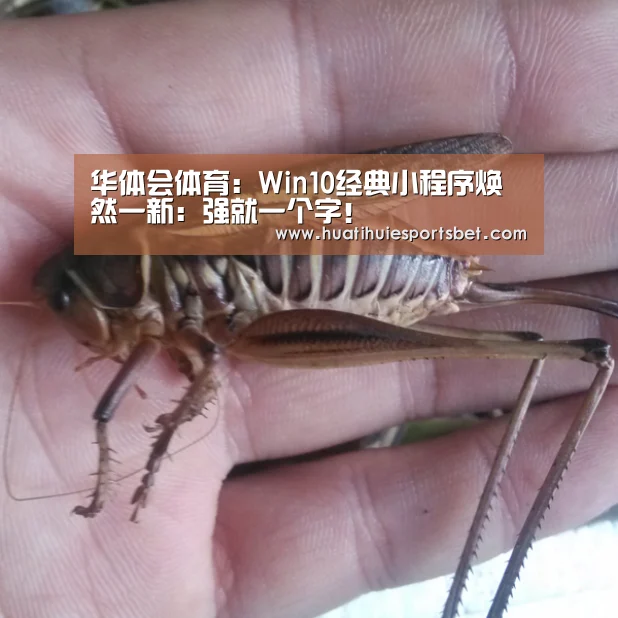 华体会体育：Win10经典小程序焕然一新：强就一个字！