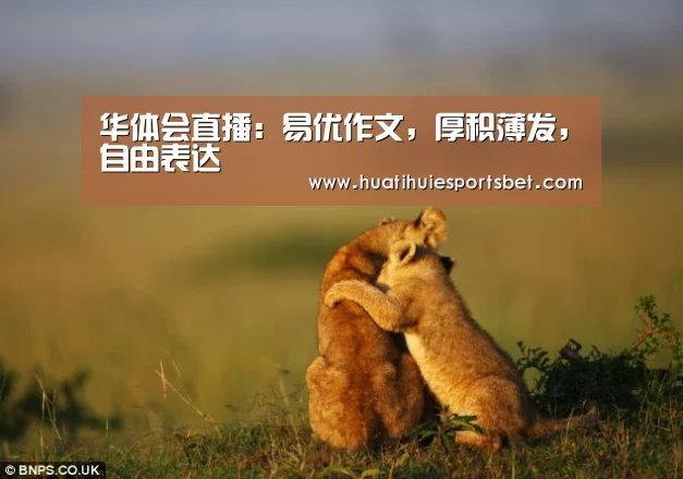 华体会直播