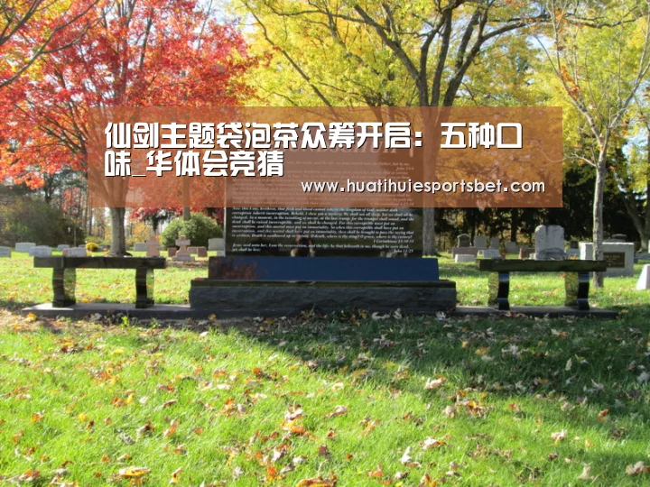 华体会体育