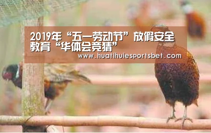 2019年“五一劳动节”放假安全教育“华体会竞猜”(图1) 华体会竞猜
