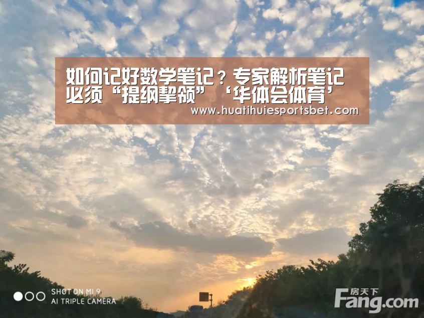 华体会体育