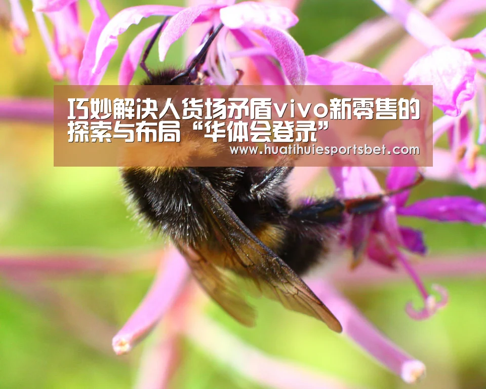 华体会竞猜
