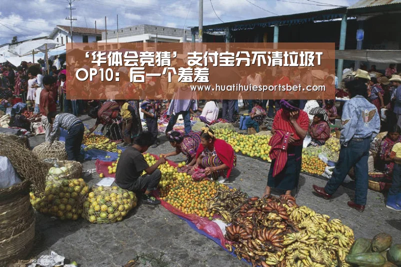 ‘华体会竞猜’支付宝分不清垃圾TOP10:后一个羞羞(图2) 华体会竞猜