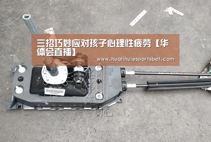 华体会直播