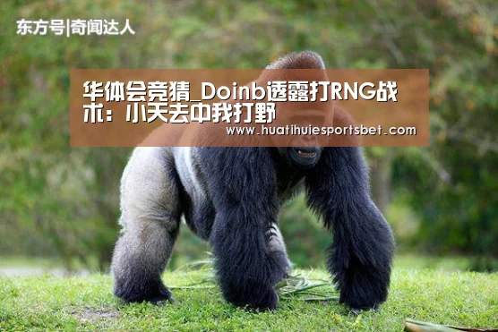 华体会登录