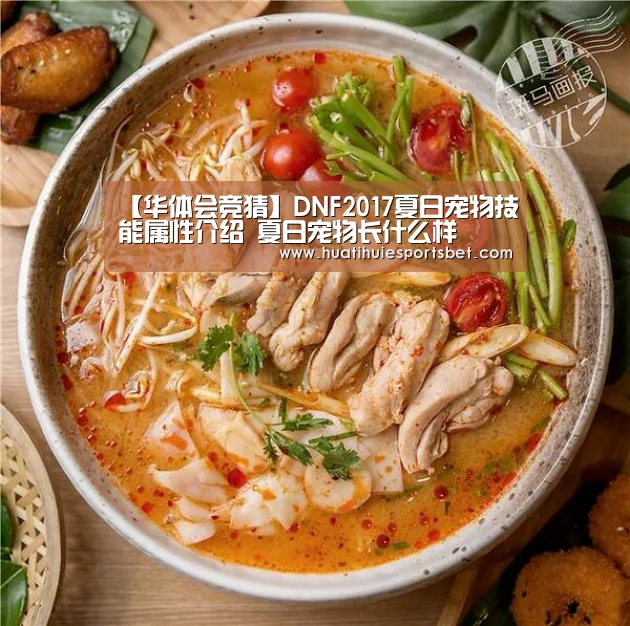 【华体会竞猜】DNF2017夏日宠物技能属性介绍 夏日宠物长什么样(图3) 华体会直播