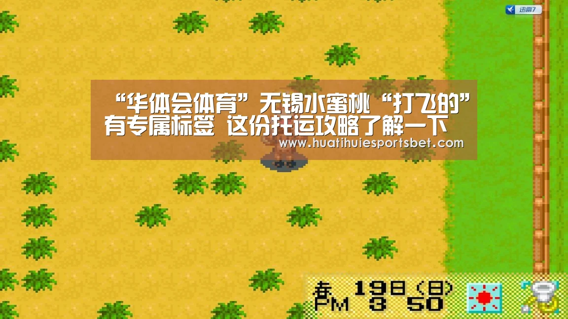 “华体会体育”无锡水蜜桃“打飞的”有专属标签 这份托运攻略了解一下(图2) 华体会登录