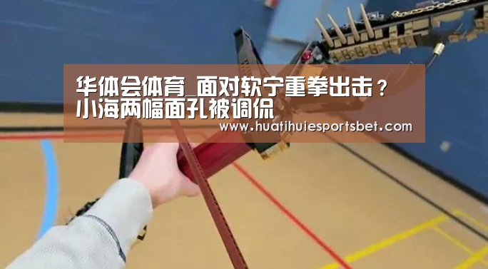 华体会体育_面对软宁重拳出击?小海两幅面孔被调侃(图1) 华体会直播