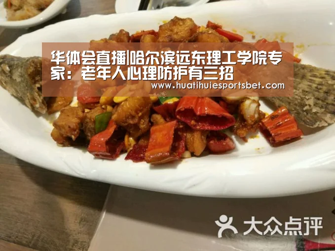 华体会登录